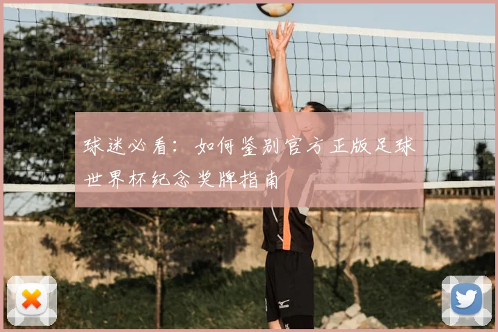 球迷必看：如何鉴别官方正版足球世界杯纪念奖牌指南