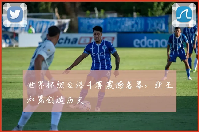 世界杯综合格斗赛震撼落幕，新王加冕创造历史