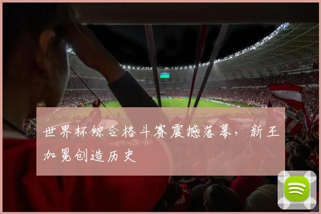 世界杯综合格斗赛震撼落幕，新王加冕创造历史